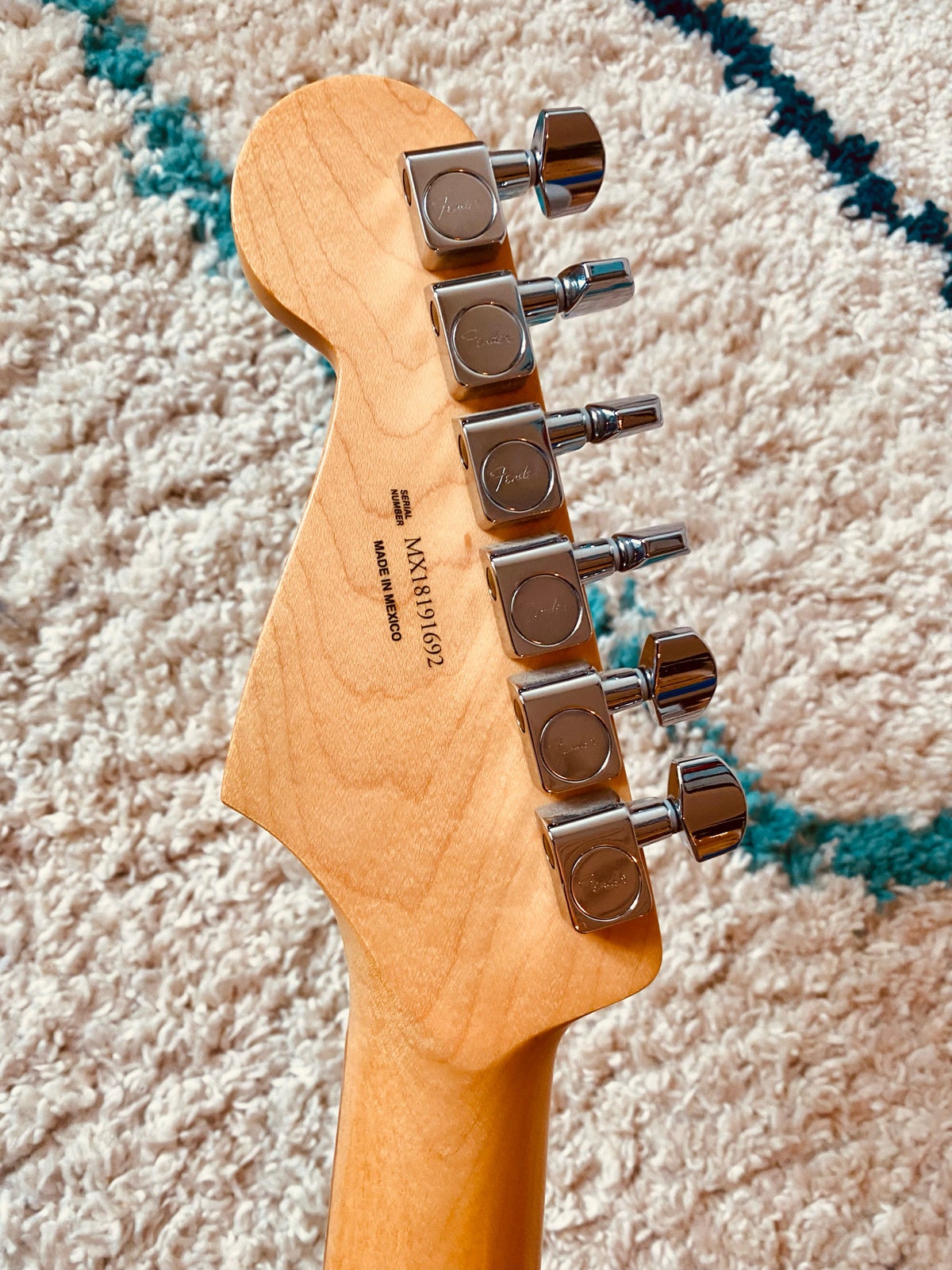 Elguitar, Fender (Mex.) Player serie