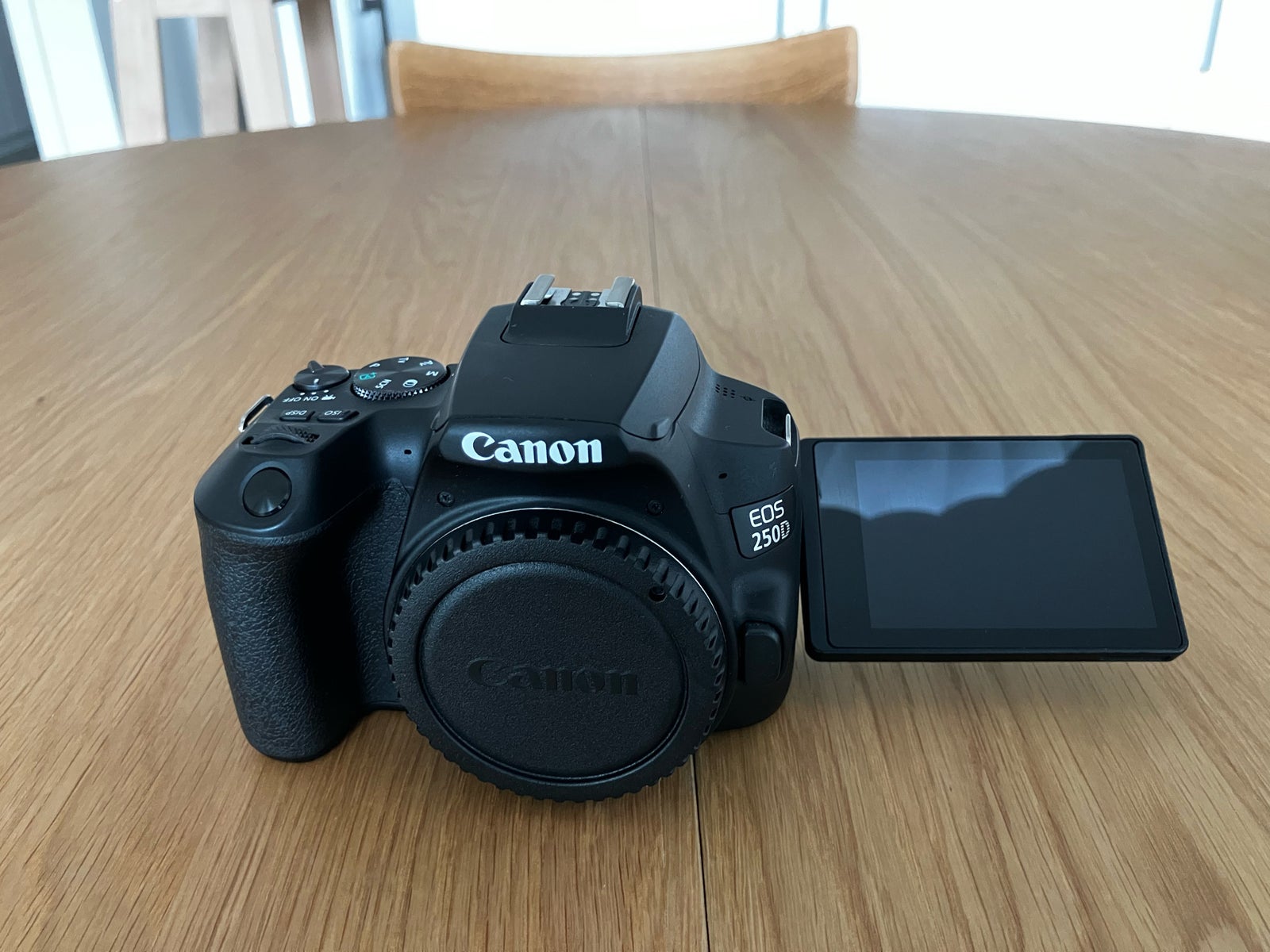 Canon, Canon 250D, spejlrefleks