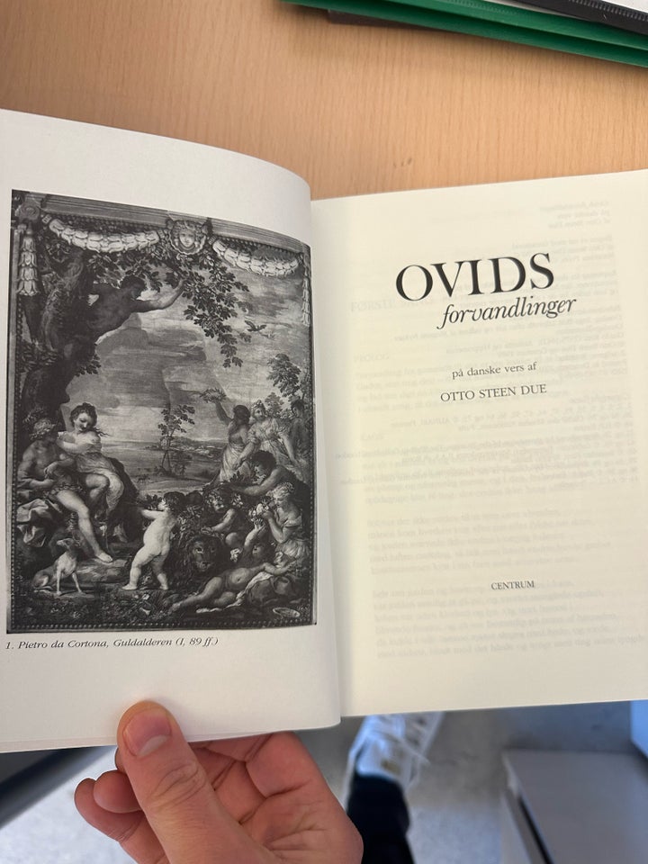 SOLGT Ovids forvandlinger, Otto Steen, genre: digte