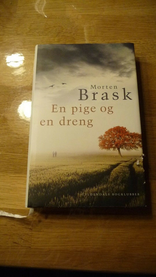 En pige og en dreng, Morten Brask, genre: roman