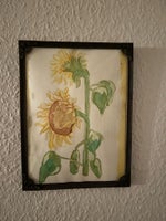 Akvarel i gl ramme, motiv: Solsikke blomst, b: 19 h: 24