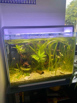 Akvarium, 85 liter, Oplagt startsæt til den nye akvarieejer!

Sælger mit Superfish home 85 akvarie i