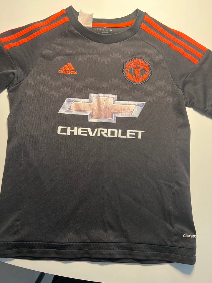 T-shirt, ., Adidas - Manchester United