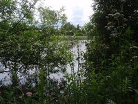20.6ha natur/byggegrund, skov, sø i Letland