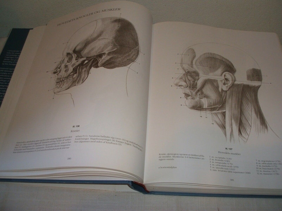 Anatomisk tegnelære, András Szunyoghy og György Fehér,