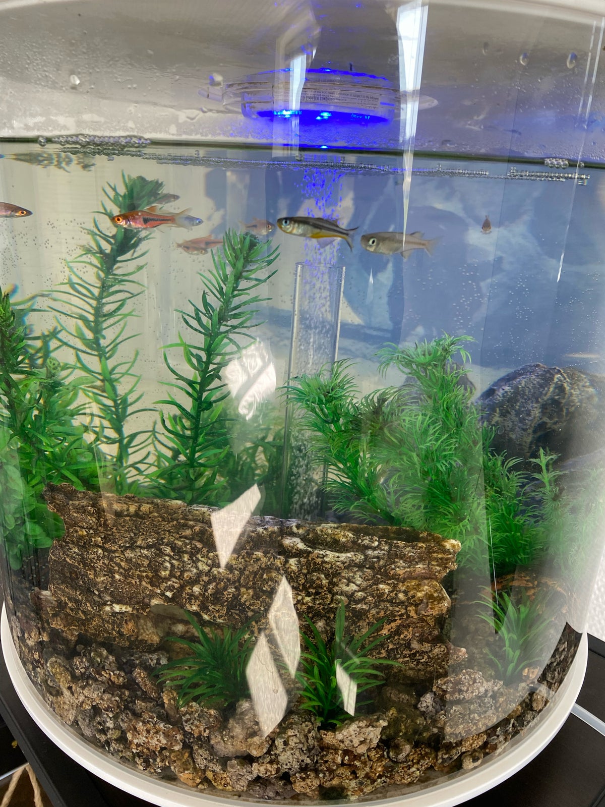 Akvarium, 35 liter