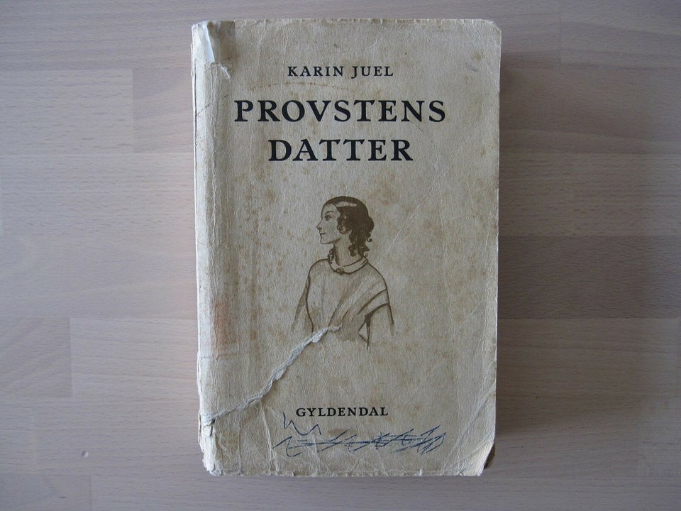 Provstens datter, Karin Juel, genre: roman