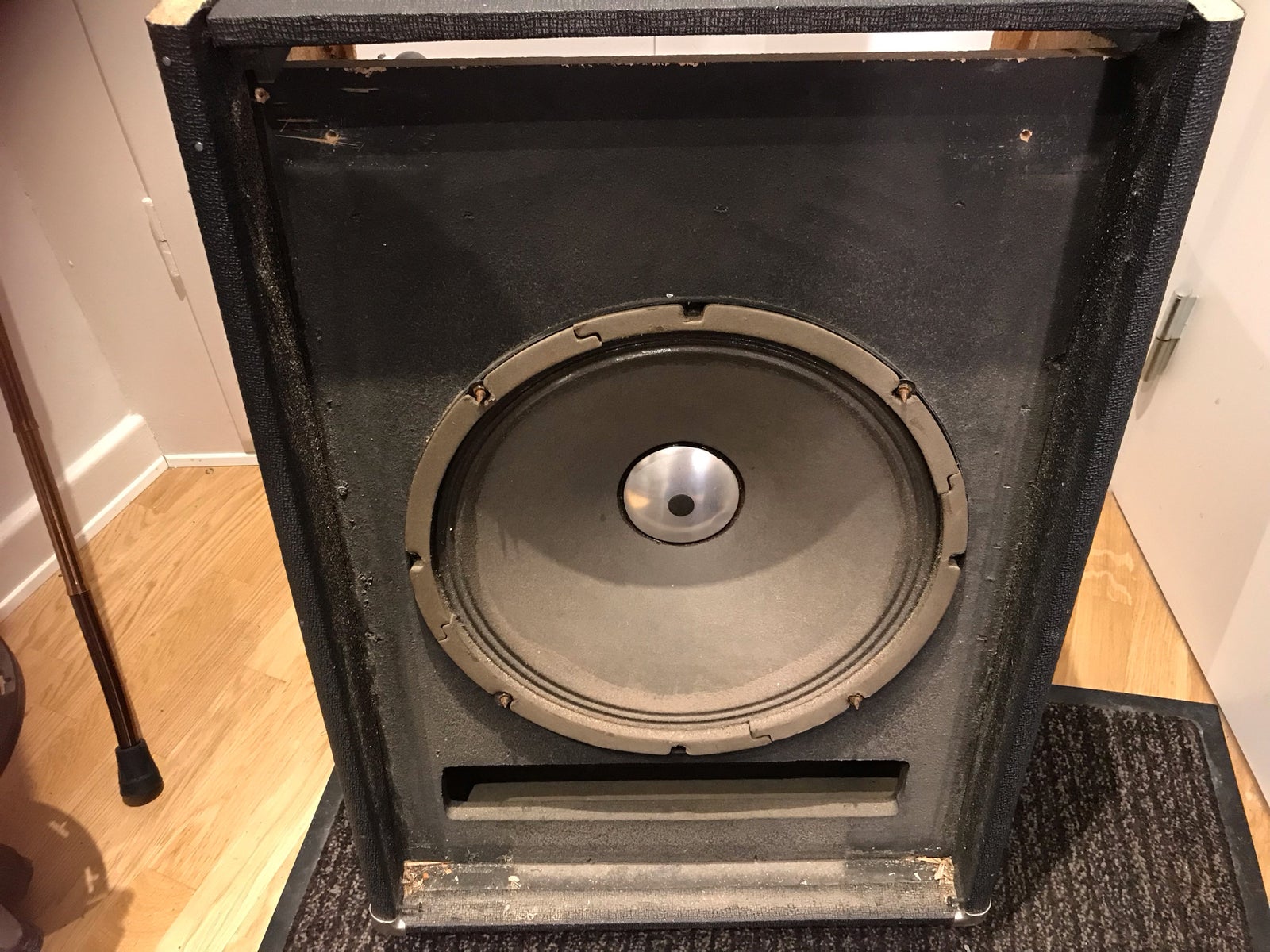 Vintage Speaker, EARTH 1970 15”