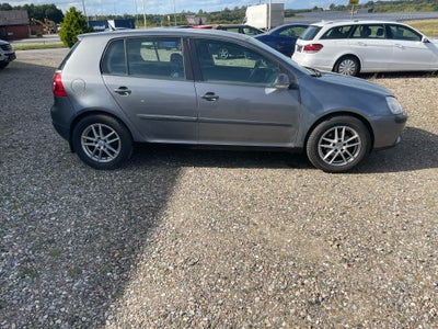 VW Golf IV, 1,9 TDi 100 Trendline Variant, Diesel, 2006, km 295000, gråmetal, nysynet, 5-dørs, Hej s