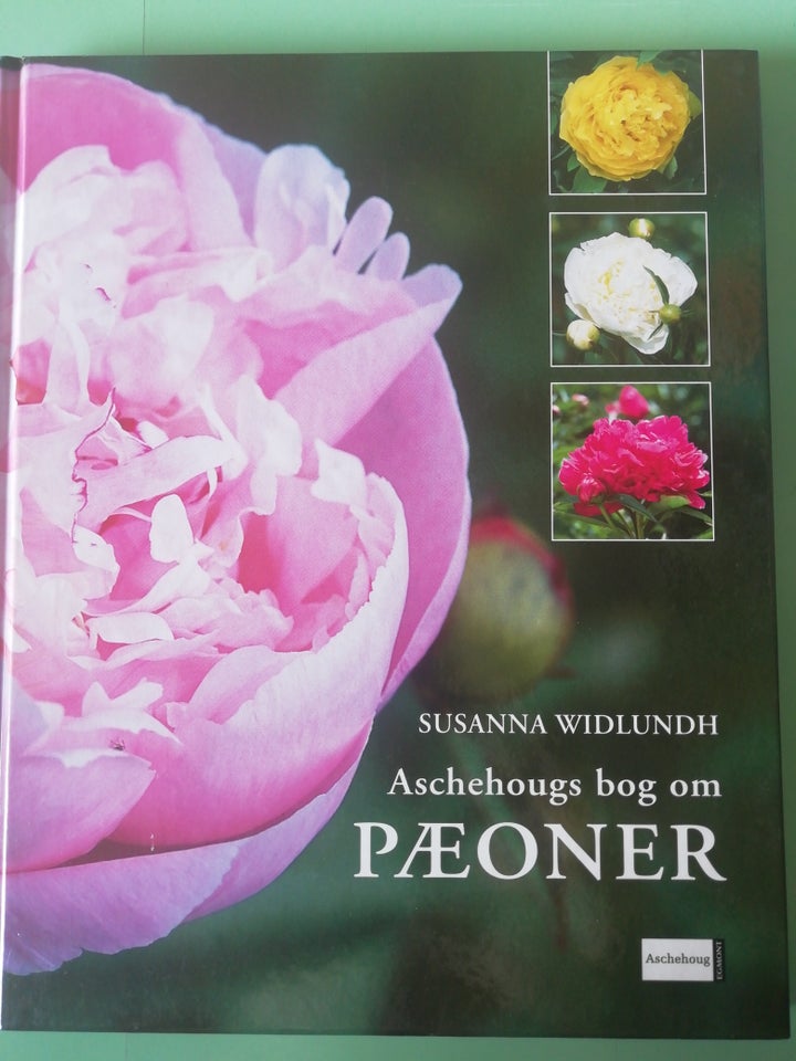 Aschehougs bog om pæoner, Susanna Widlundh, emne: hus og