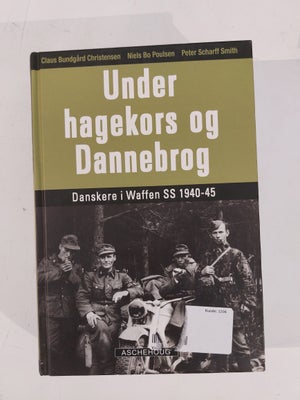Under hagekors og Dannebrog, Claus Bundgård m.fl., emne: historie og samfund, Om en gruppe danske st