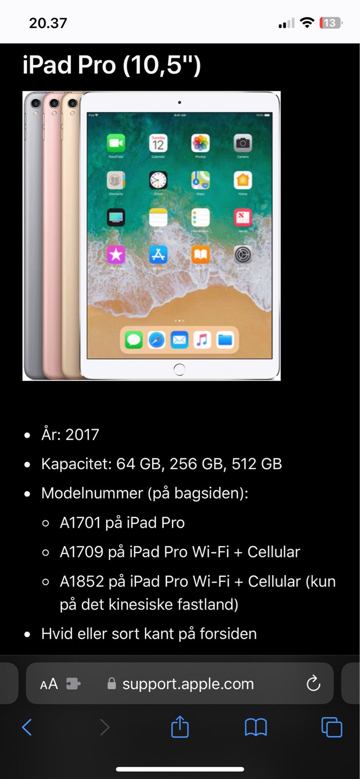 iPad Pro, 256 GB, God