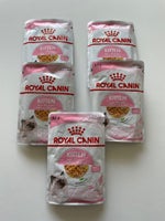 Kattefoder, Royal canin kitten vådfoder