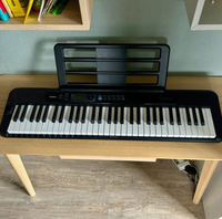 Keyboard, Casio CT-S300