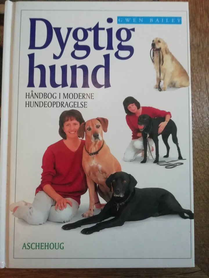 Tæt Manchuriet arabisk Dygtig hund, Gwen Bailey, emne: dyr – dba.dk – Køb og Salg af Nyt og Brugt