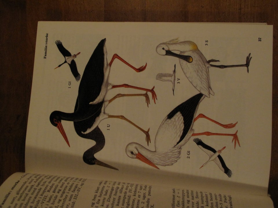 Lademanns Fugleatlas (2000), emne: biologi og botanik