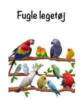 Fugle og papegøje legetøj