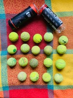 Hundelegetøj, Tennisbolde