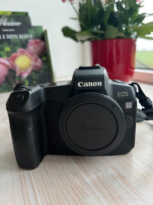 Canon EOS Kamera 30,3 MP God