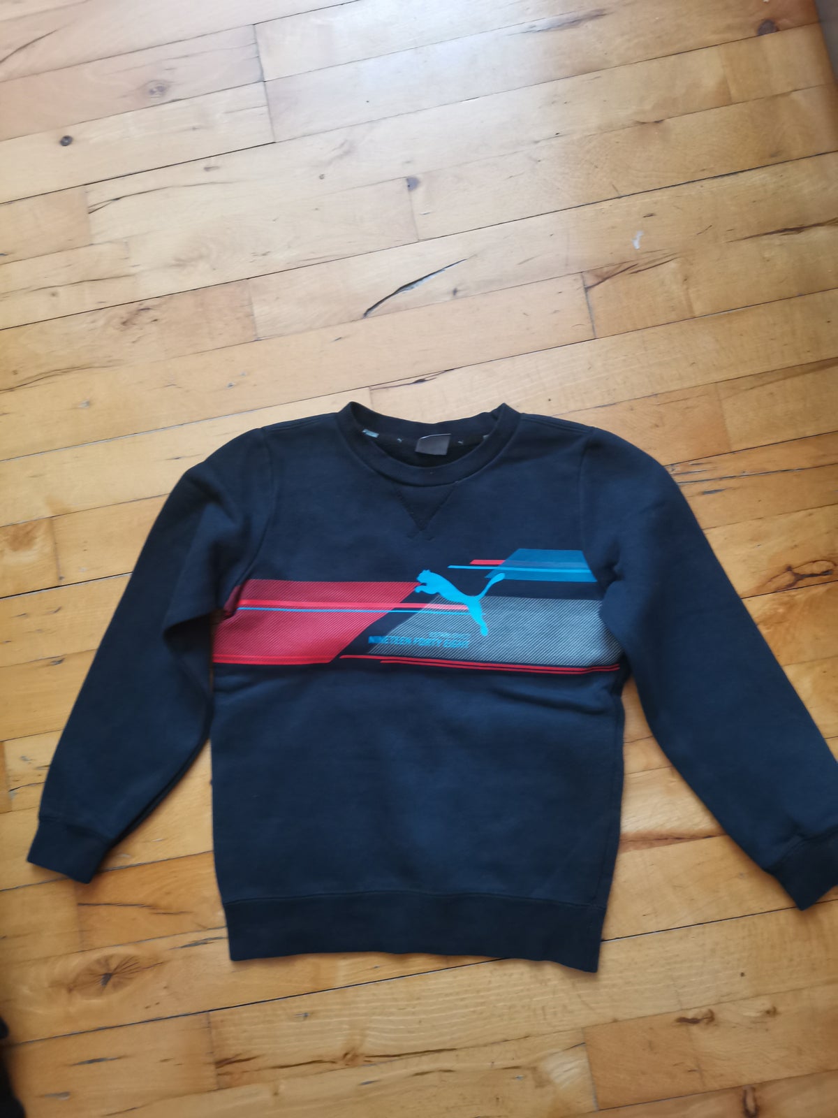 Sweatshirt, Sweatshirt/ trøje, PUMA