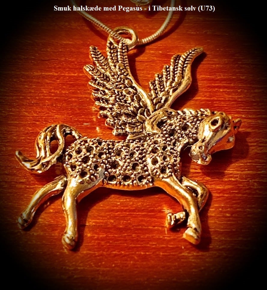 Halskæde, sølv, * Smuk halskæde med Pegasus - i Tibetansk