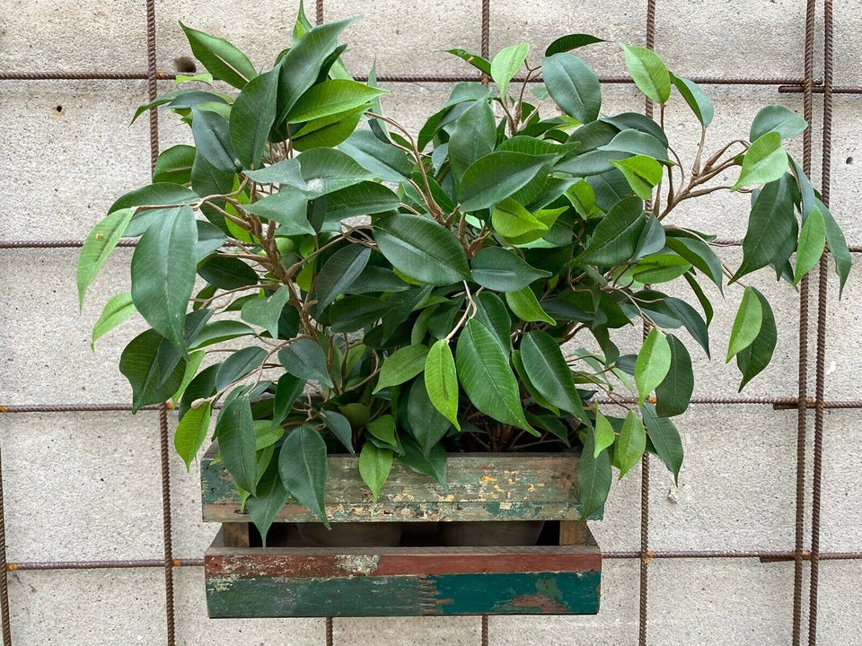 Plantekasser, ophæng & væghylder (10 stk)