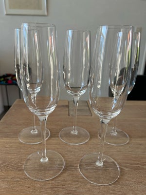 Glas, Champagne glas, Luigi Bormioli, 5 flotte glas. 1 har skår på fod, (se sidste billede) pris sat