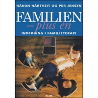Familien - plus én - indføring i familieterapi, Håkon