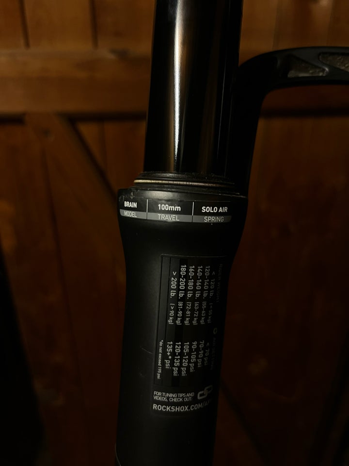 Forgaffel, Mountainbike RockShox SID Brain WC 29”