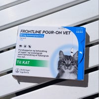 Frontline Pour-on til kat