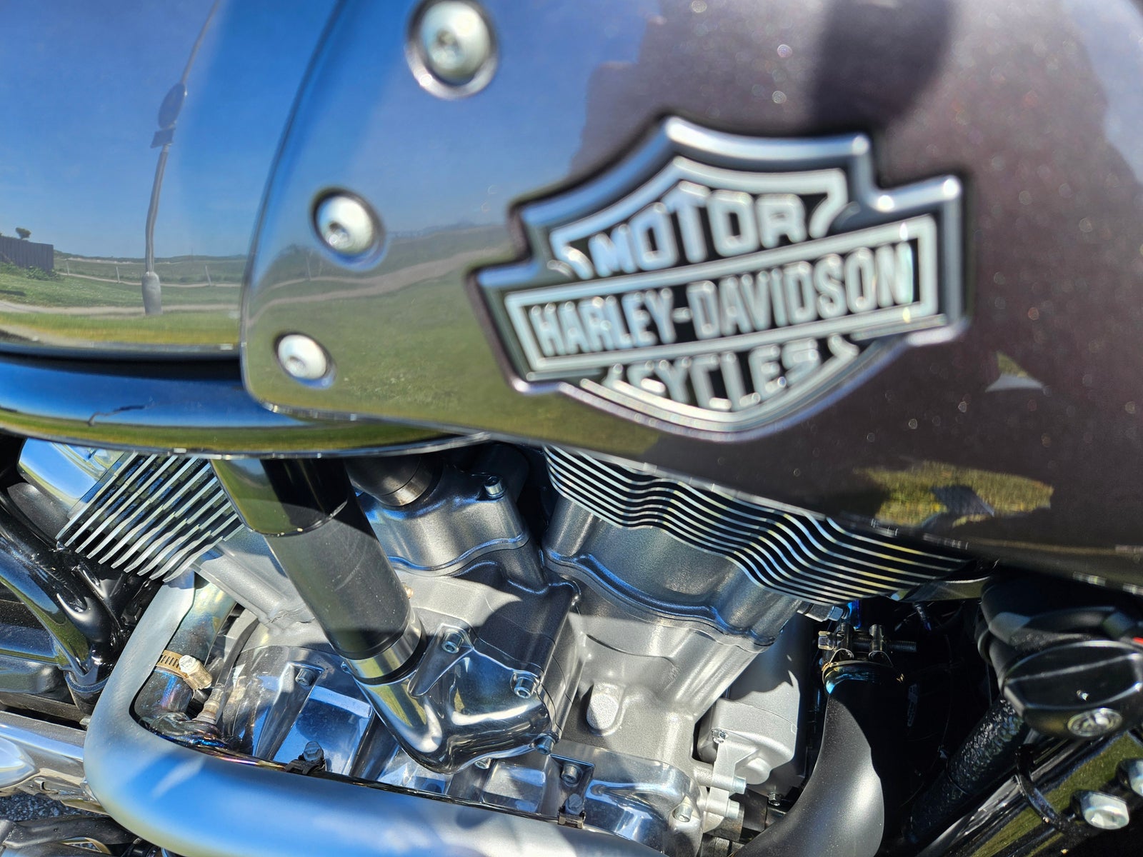 Harley-Davidson, V-rod Muscle, 1247 ccm