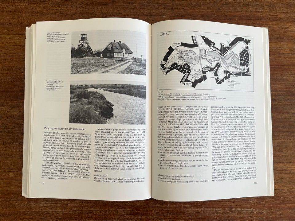 Fuglene i Landskabet, Lorenz Ferdinand , emne: dyr