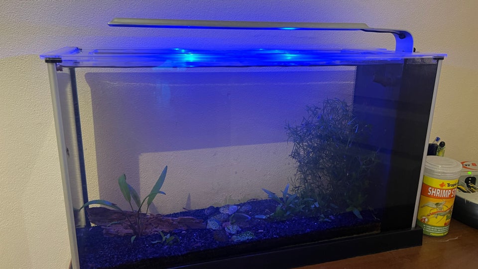 Akvarium, 19 liter, b: 52 d: 19 h: 30