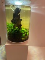 Akvarium, 30 liter