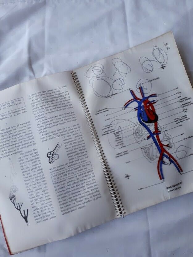 Anatomisk Atlas, Uffe Kirk, emne: krop og sundhed