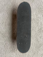 Skateboard, Jack London , str. 42 cm