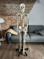 Anatomi skelet, Medicin