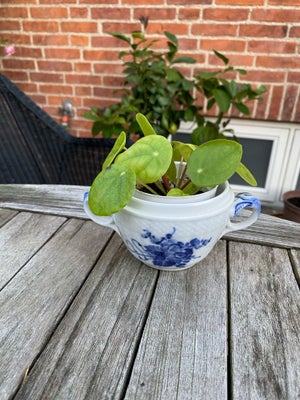 Porcelæn, Blå blomst med Pilea, Royal Copenhagen, Fin sukkerskål uden låg nr 1680 blå blomst. Sød me