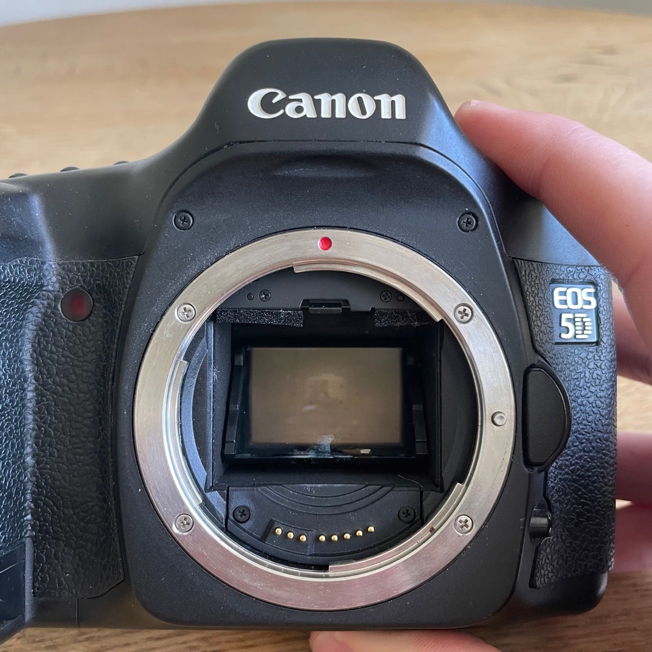 Canon, 5D Classic Mark 1, 12,7 megapixels