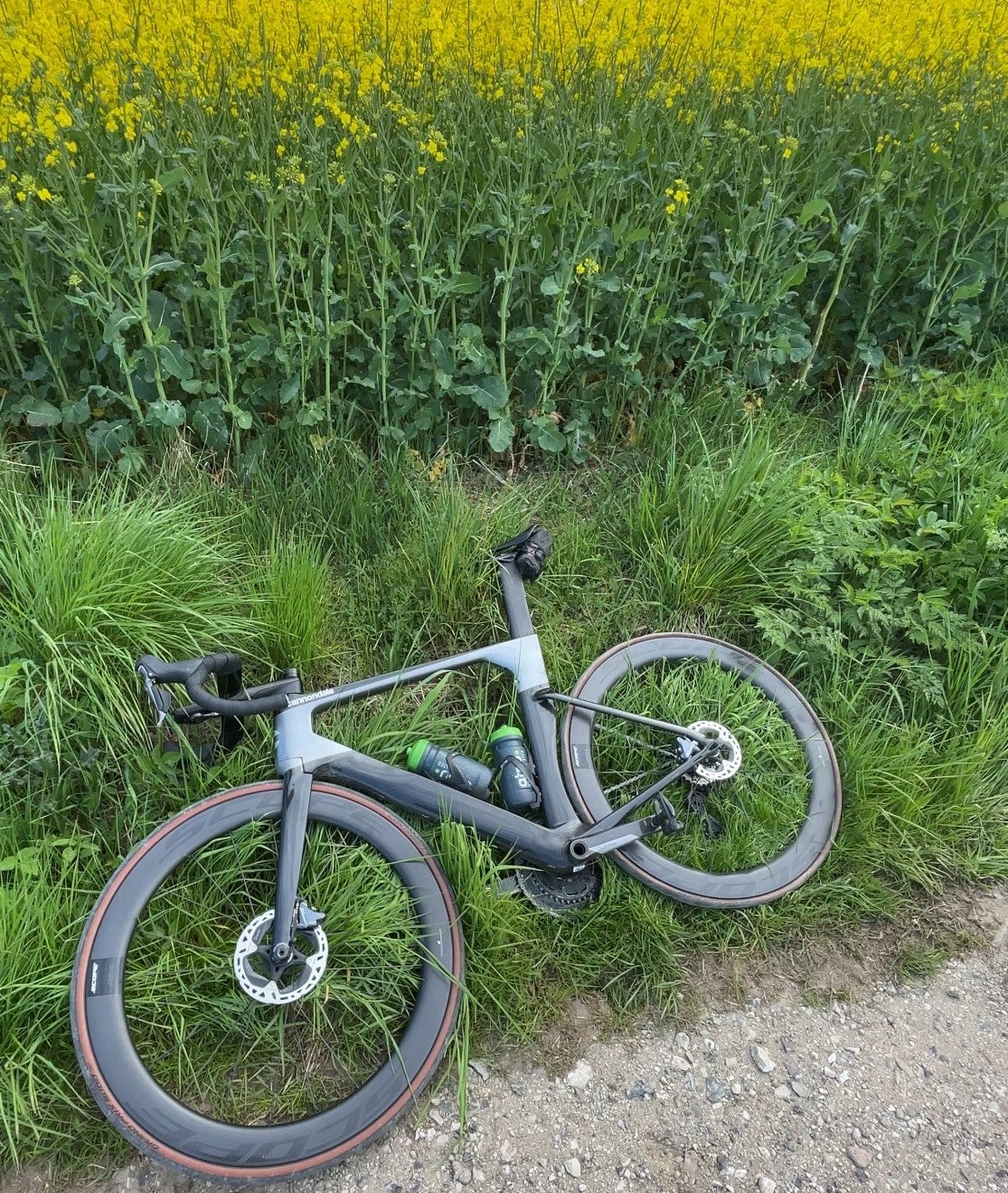 Herreracer, Cannondale Systemsix, 56 cm stel