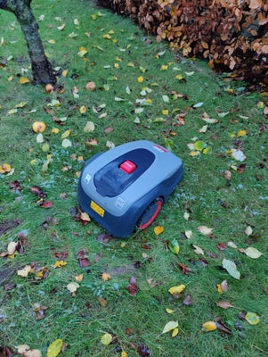 Robotplæneklipper, AL-KO, 2,5 år gammel AL-KO landmower robolinho 500w

Fungerer upåklageligt, dog b