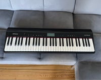 Keyboard, Roland GO:piano