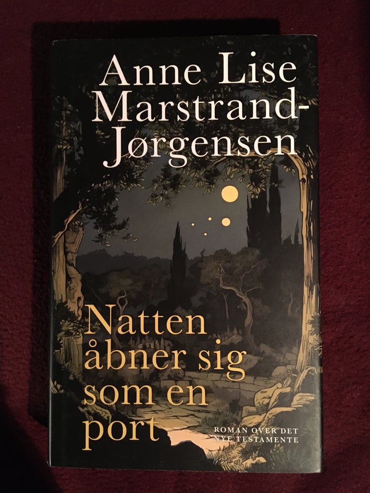 Natten åbner sig som en port, Anne Lise