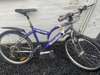 Drengecykel, classic cykel, Greenfield