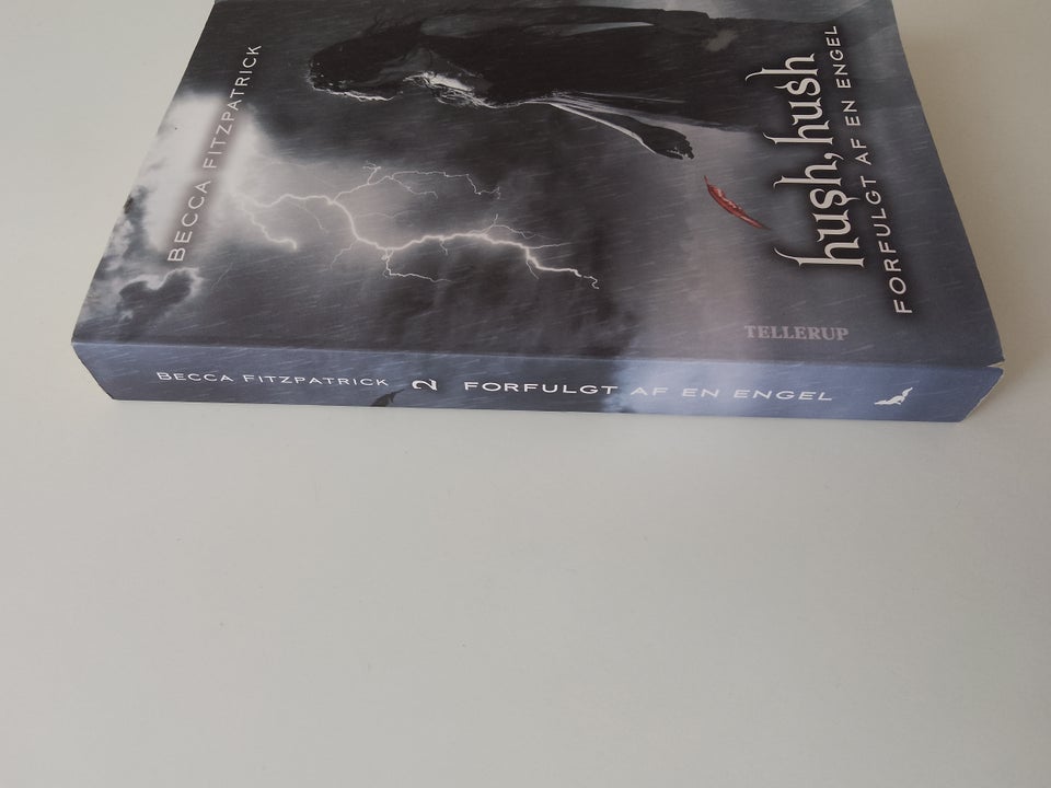 Forfulgt af en engel, Benna Fitzpatrick, genre: fantasy