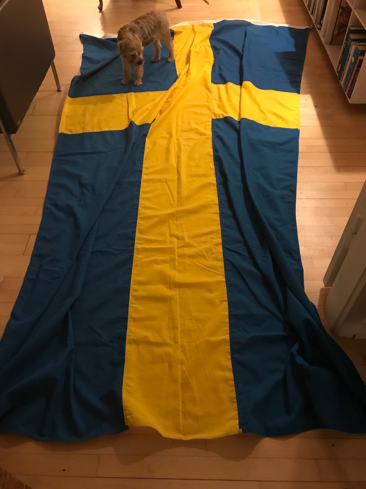 Flag, Det svenske flag