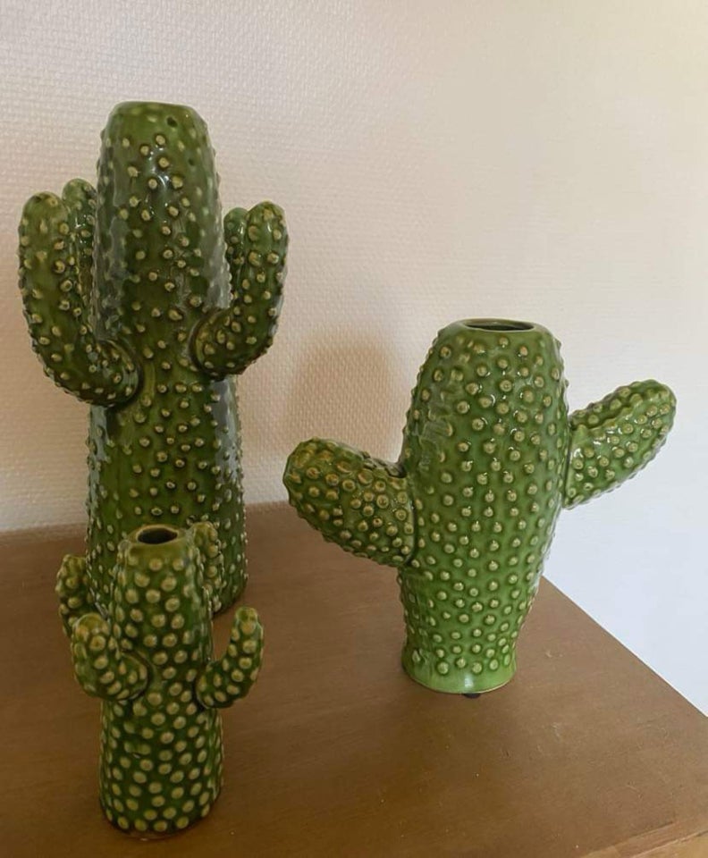 Kaktus vaser