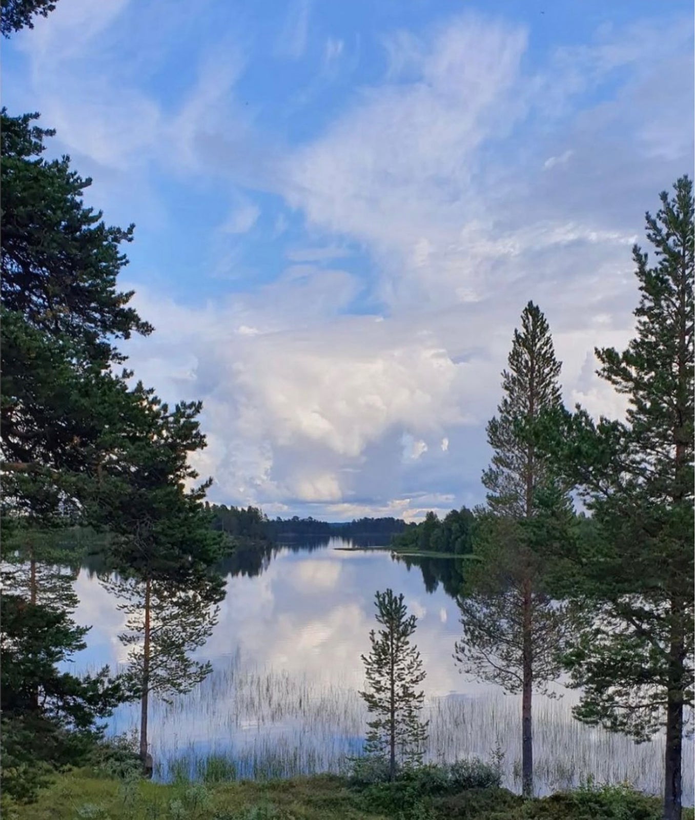 Sverige, Fjällvattnet 100. , 84695 Tännäs