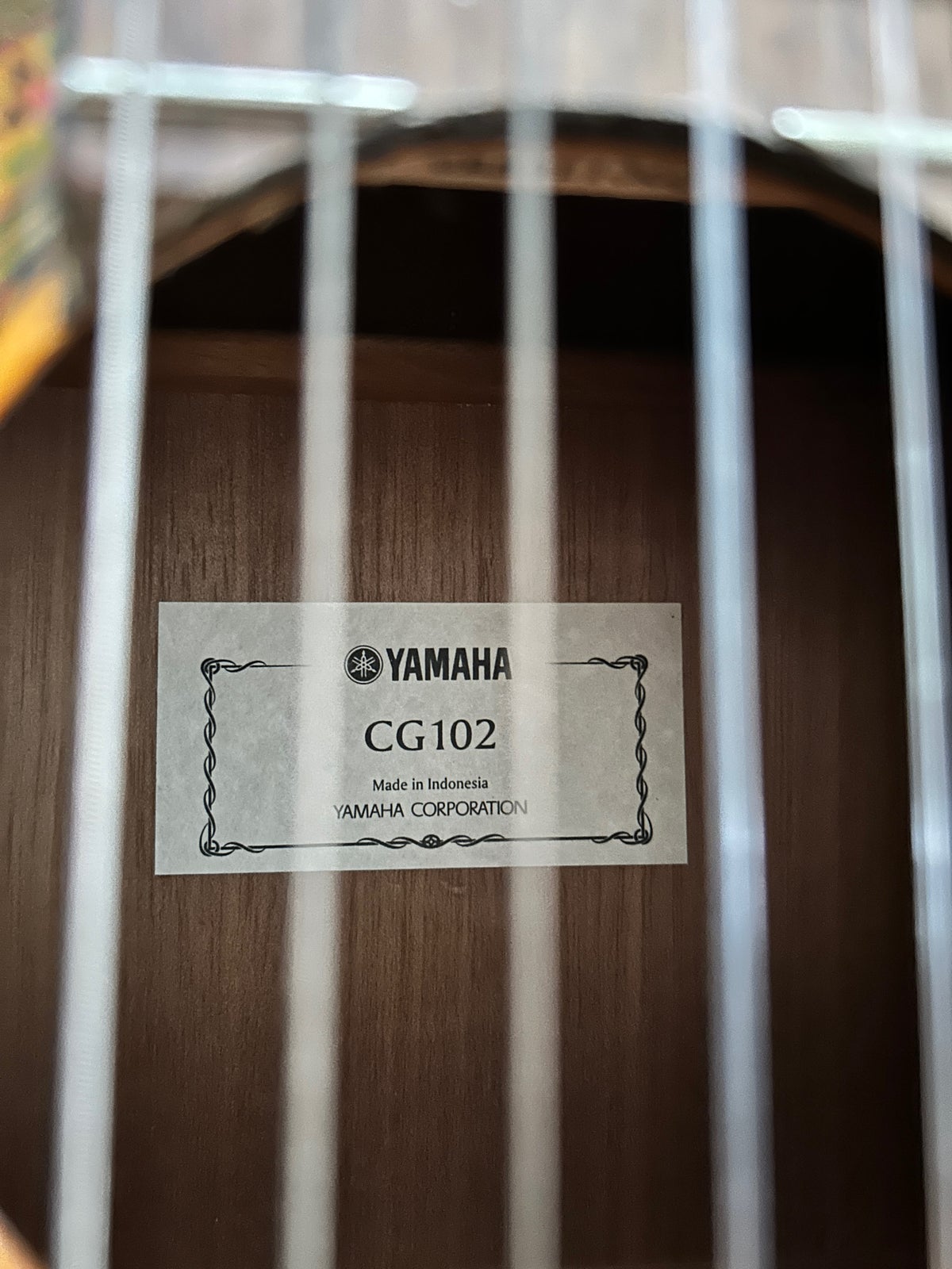 Klassisk, Yamaha CG 102