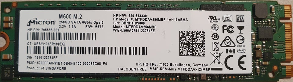 MICRON M600 M.2 2280 SATA III SSD, 256 GB, Perfekt